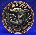 🔥 Sought After - Tampa Bay Multi-Agency Gang Task Force Challenge Coin (Copper)