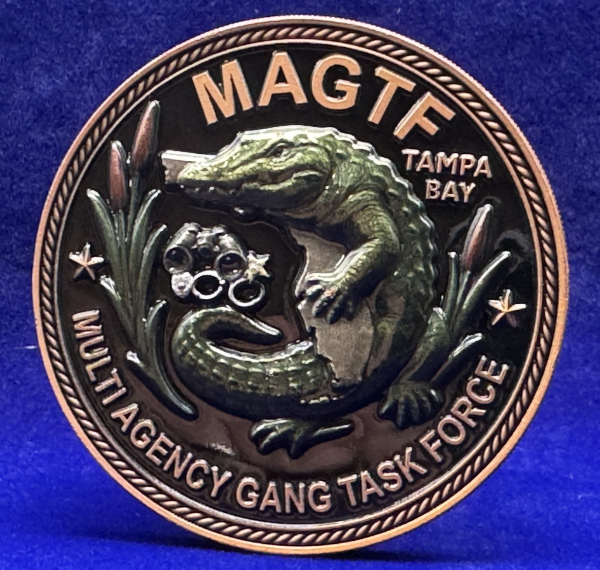 🔥 Sought After - Tampa Bay Multi-Agency Gang Task Force Challenge Coin (Copper)